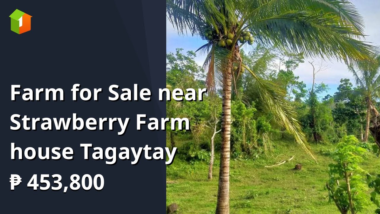 Farm for Sale near Strawberry Farm house Tagaytay YouTube