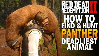 Today in rdr2 we show how to find and hunt panthers! also give some
tips on fishing easily get potent predator bait. panthers are by far
the deadliest ...