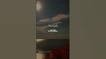 تلاوة خاشعة ومؤثرة للشيخ أحمد النفيس سورة فصلت آية ٣٣ #القرآن_الكريم