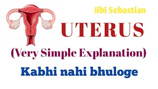 Uterus, womb, anatomy and physiology of uterus, garbhashay, structure and functions of uterus