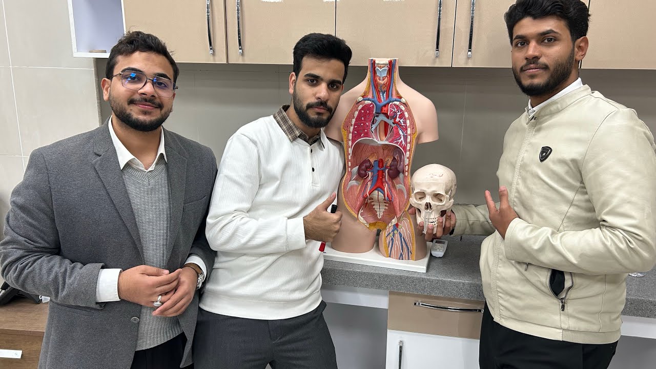 الصباحات الشتوية المضيفية