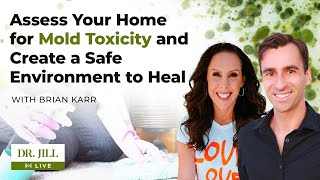 148: Dr. Jill interviews mold inspection expert, Brian Karr on Assessing Homes for Mold Toxicity.