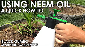 How To Use Neem Oil in the Garden || Black Gumbo