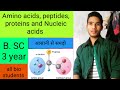 Amino acids, peptides, proteins and Nucleic acids