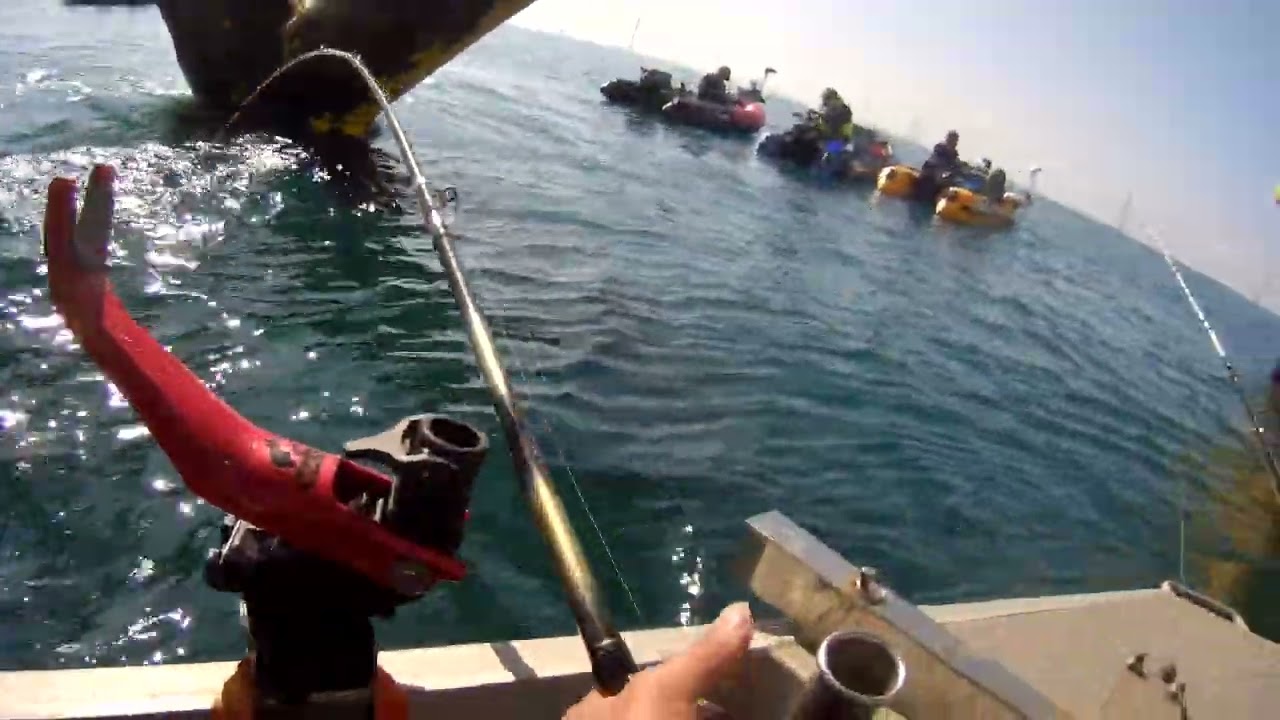 2026 0215 101301 026  黃雞1