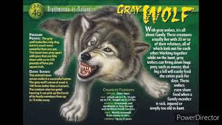 gray wolf sound effects
