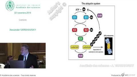 [Conférence] A. VARSHAVSKY - Lecture