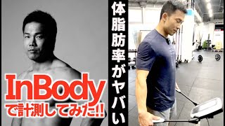 ほぼ筋肉】InBodyで体脂肪率を計測したら脅威の1桁台だった！！I