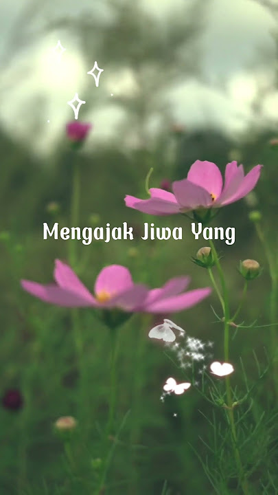 Soegi Bornean - Pijaraya