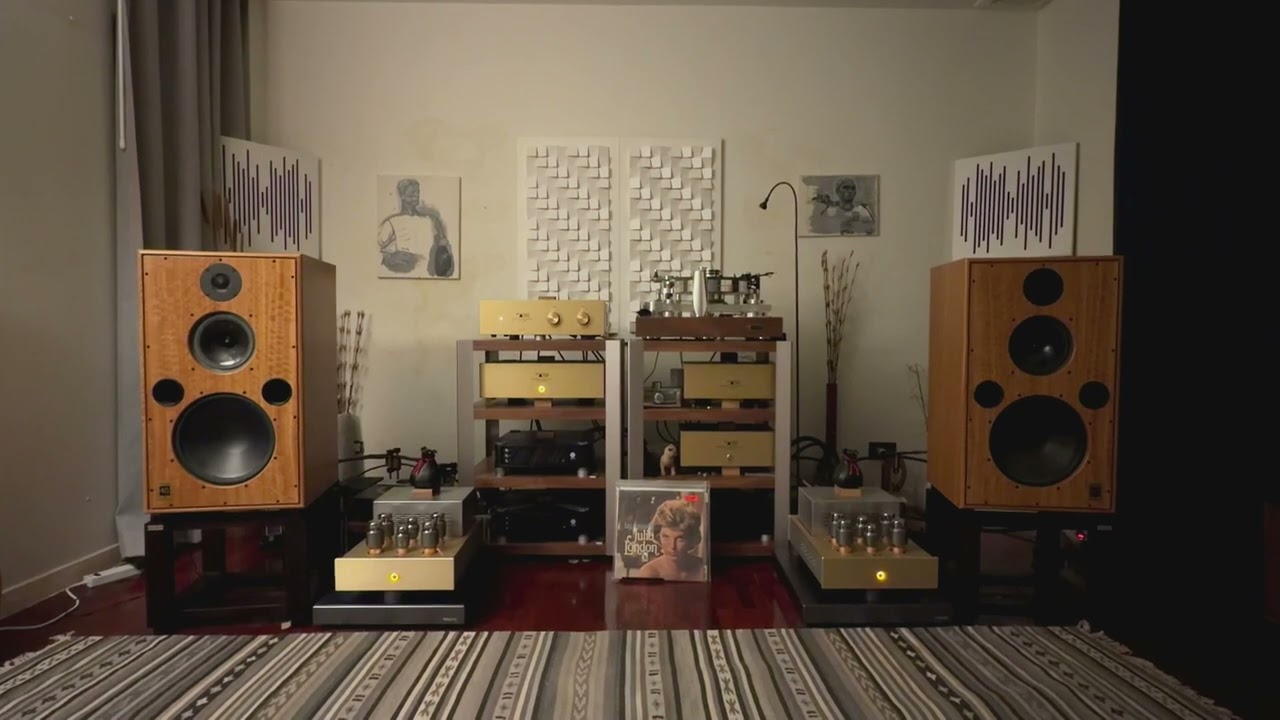 Chin Tsai Aavik S580 Aavik D580 new cable installed Ansuz C2 interconnect Ansuz C2 speaker cable 