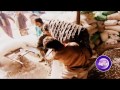   نجيب محفوظ برنامج كتابي