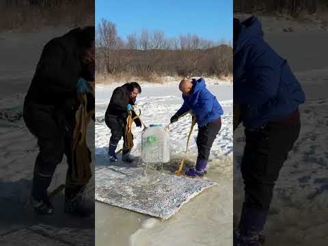 Fishing hunting video