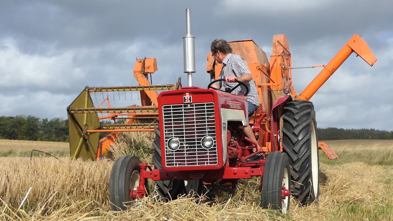 IH 434 harvesting spring barley w/ Dronningborg D600 Combine Harvester | Harvest 2020 | DK Agri