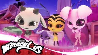 MIRACULOUS |  SANDBOY  | Ladybug & Cat Noir  हिन्दी