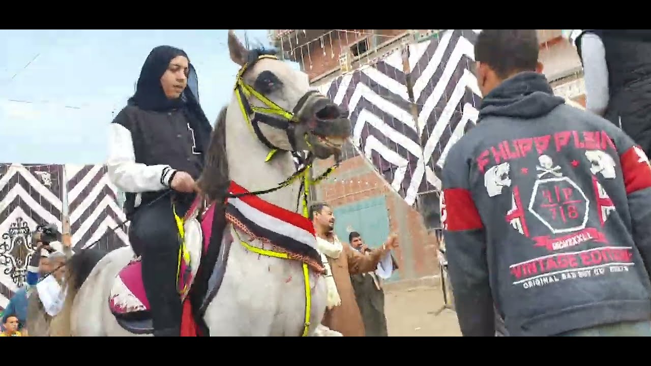 عبير مجدى حصان فلسطيني شاهد هتفرح بجد النهاية جميلة
