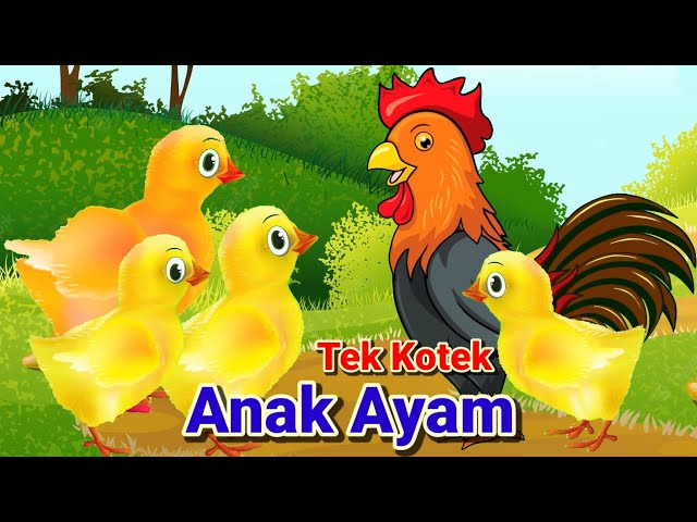 Tek kotek Kotek Anak Ayam || Lagu Anak Anak class=