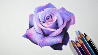 pencil drawing drawings flower rose draw lavender prismacolor colored tutorial pencils realistic step blending flowers tutorials fadil coloring painting webneel