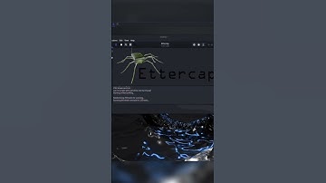 How Hackers Spy on You 👀 #kalilinuxtools #ettercap #spying #network #cyber  #linuxhacking #hacker