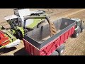 Claas lexion 750  la moisson avec leta deglaire dans les ardennes