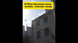 El Nino becomes more erratic, intense: study