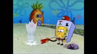 Spingebill Battles A Clam Shell For 3 Minutes And 22 Seconds