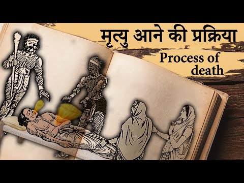 वीडियो: क्या बेली फ्लॉप से किसी की मौत हुई है?