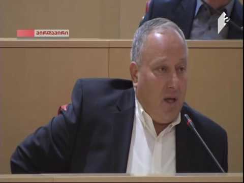 პაატა კვიჟინაძის გამოსვლა პლენარულ სხდომაზე (26/11/2016)