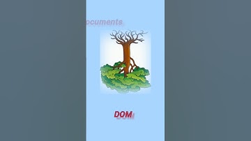 Document Object Model in javascript (DOM)  ll javascript tutorial for beginners #dom #javascript