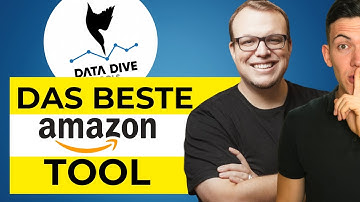 DataDive Komplett Anleitung mit Branden Young (Gründer) Amazon FBA