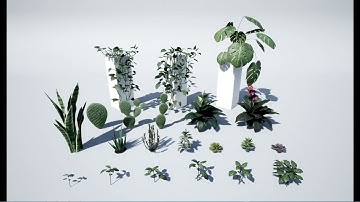 Unreal Engine 4 - Free Content Pack - House Plants