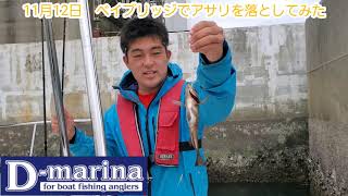 2020年11月12日　アサリで釣ってみた