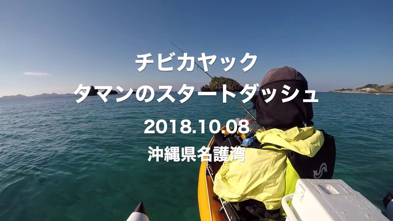 タマンのスタートダッシュ怖い 沖縄県名護湾 18 11 18 チビカヤック ルアーフィッシング Youtube