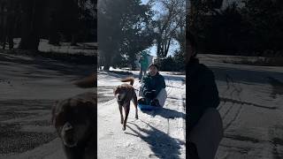 winter storm Fern aftermath… feat. Mocha and Brownie!
Our kids had such a blast after the ice storm that hit the southeast! winter storm Fern aftermath… feat. Mocha and Brownie!