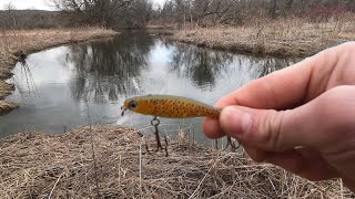 This lure is awesome for small creek fishing! New Dynamic lure!