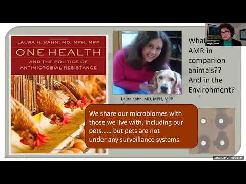 Video: Banyak Peran Dokter Hewan: Dr. Carrie McNeil dan One Health Initiative
