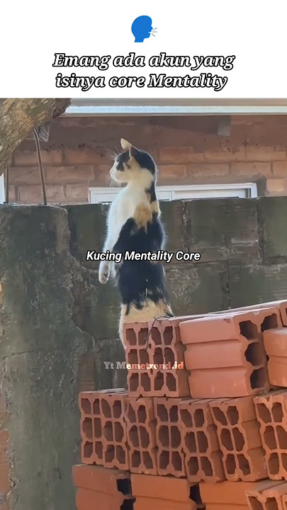 Kalian udah liat Kucing Ungke n grrr blm #newmusic #rap #hiphop #meme #lucungakak #lucu #funny