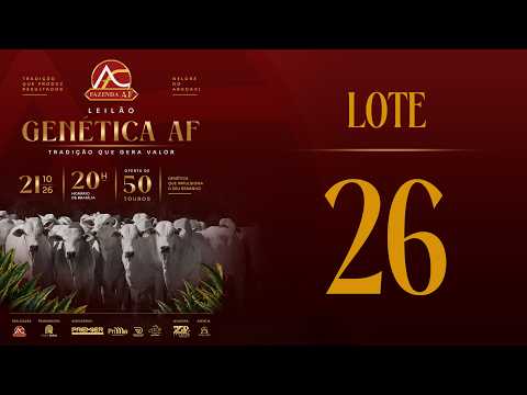 LOTE 26 ARFS  181