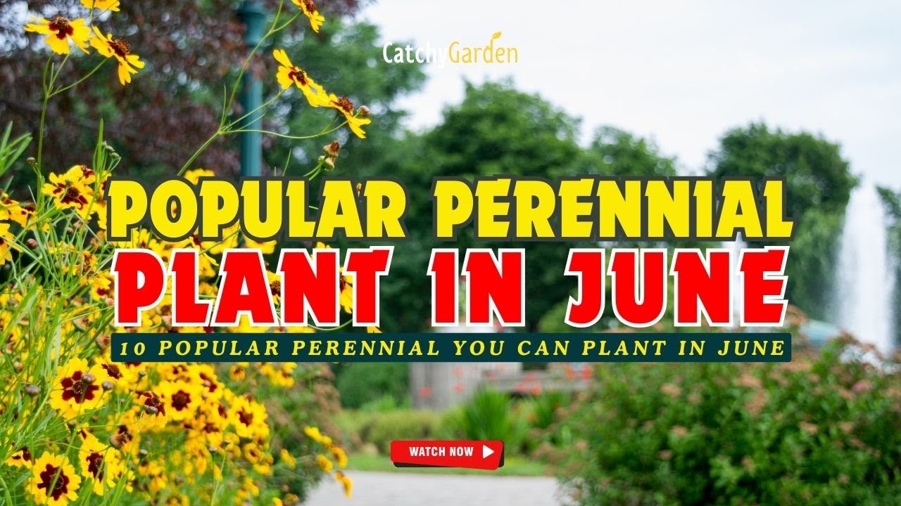 10 POPULAR PERENNIAL PLANTS YOU CAN PLANT IN JUNE 🌷🌸🌹 // Gardening Ideas