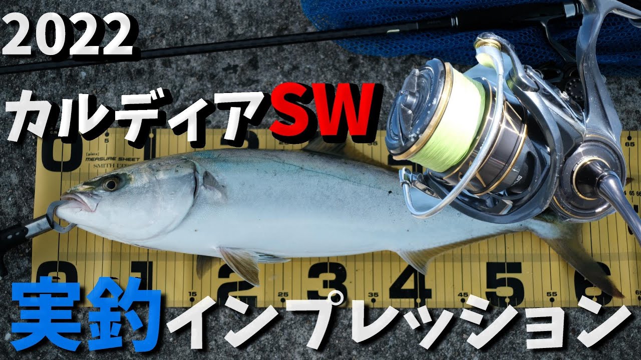 カルディアSW】1年間使ってみたインプレッション。耐久性は？ライバル
