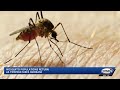 Mosquito populations return as temperatures increase