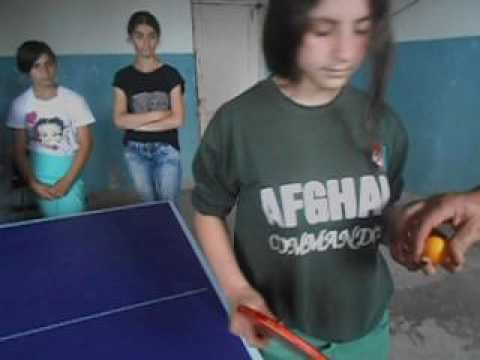 მაგიდის ჩოგბურთის გაკვეთილი - N8