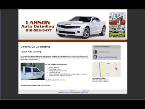 Larson Auto Detailing