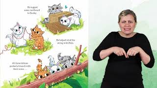 World Book Day: The Big Bang! BSL edition
