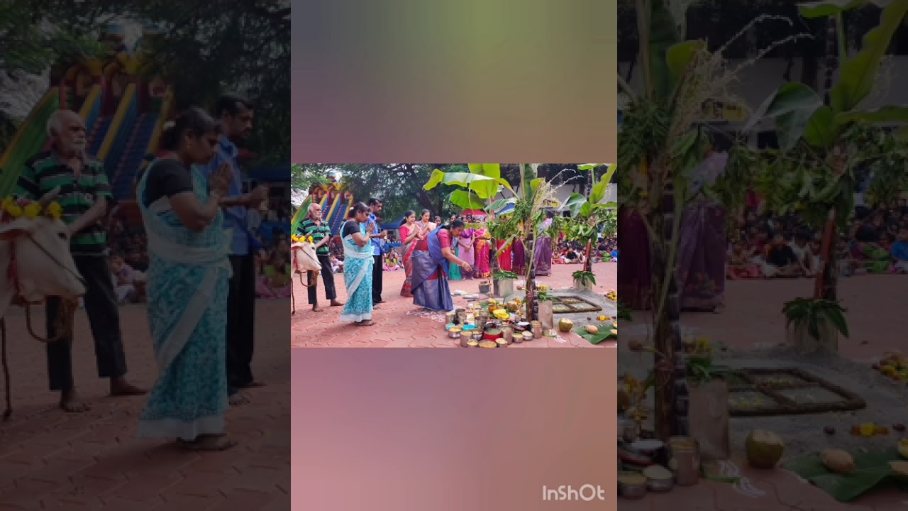 PONGAL CELEBRATION@HMHSS