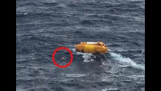 Passengers on This Disney Cruise Spotted Something in the Sea That Shocked Them