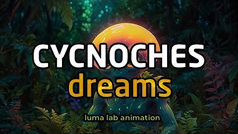 Cycnoches dreams | AI animation Comfy UI | Luma dream