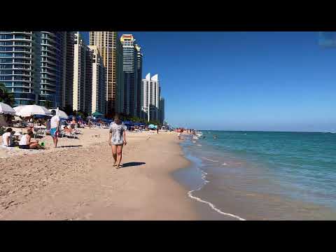 Video: Wandelen in Miami