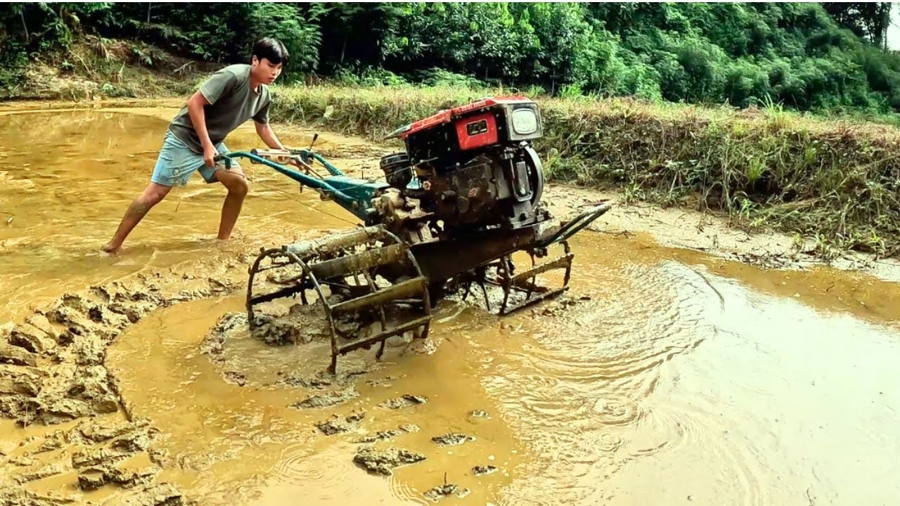Peaceful Life: Cooking Fish Hotpot in the Countryside | Simple Rural Living | HungKa