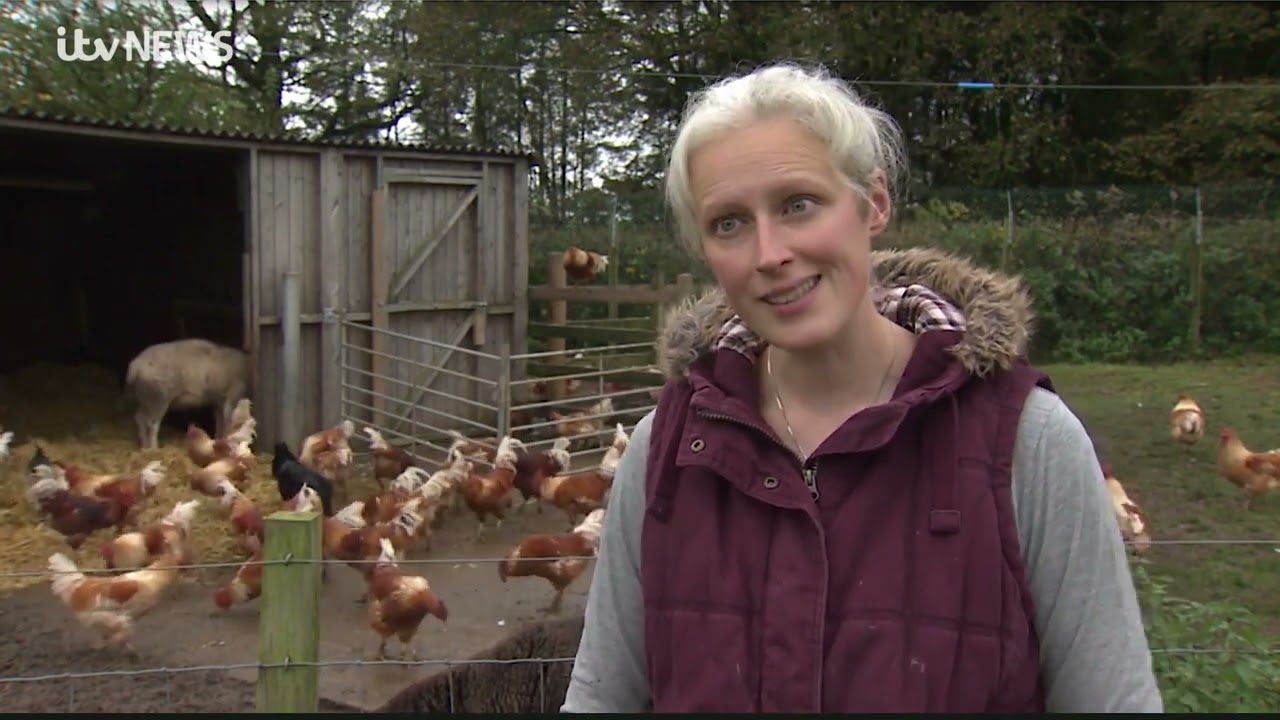 ITV Report:  Bird Flu Precautions