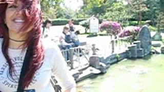 Imagen 286.avi